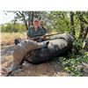 Image 3 : A 7 day buffalo hunt in the wilds of North Limpopo - Spear Safaris