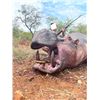 Image 4 : Dangerous Game Hunt - African Hunting Safaris Group