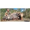 Image 5 : 5 Full days, Golden wildebeest, Kings wildebeest for 1 hunter - Superior African Hunting Safari's