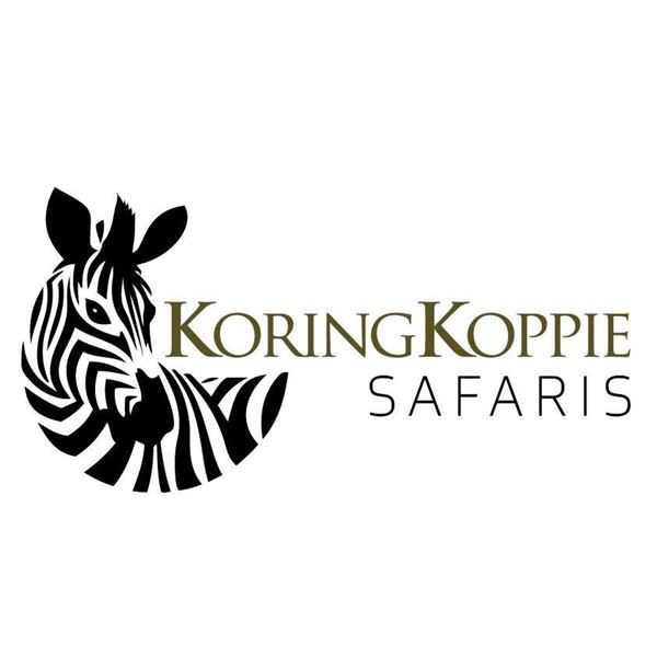 4 day giraffe bull hunt for 1 hunter and 1 observer - Koringkoppie Safaris