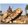 Image 2 : 4 day giraffe bull hunt for 1 hunter and 1 observer - Koringkoppie Safaris