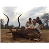 Image 2 : Cape Buffalo - Open tag hunt - Theron African Safaris