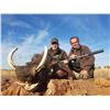 Image 3 : Cape Buffalo - Open tag hunt - Theron African Safaris