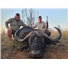 Image 5 : Cape Buffalo - Open tag hunt - Theron African Safaris