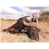 Image 2 : Trophy Buffalo bull hunt - Trophy Game Safaris