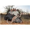 Image 3 : Trophy Buffalo bull hunt - Trophy Game Safaris
