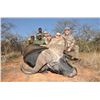 Image 6 : Trophy Buffalo bull hunt - Trophy Game Safaris