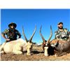 Image 5 : Buddy Package 2024 - Liebenberg Safaris