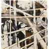 Image 2 : Framed painting (signed) on canvas - approx. 48in square