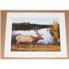 Image 1 : PRINT 1996 AUTUMN MAJESTRY ELK CRIME