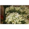 Image 3 : LOT DE FLEURS ARTIFICIELLES