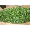 Image 2 : LOT DE 3 PLANTES ARTIFICIEL