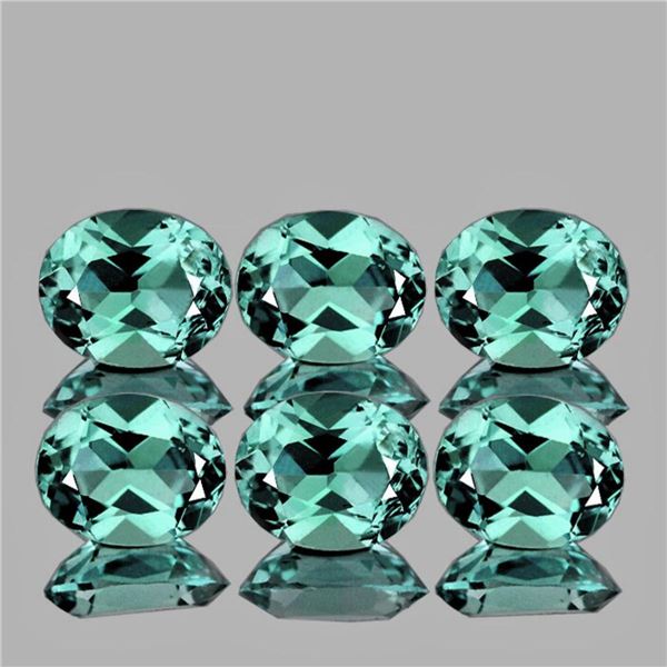 Natural Paraiba Green Apatite 6 Pcs (Flawless-VVS)