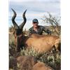 Image 3 : South Africa - 6-day (5-hunting days) hunt for 2-hunters.   Trophy fees include 4 cull animals.