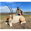 Image 4 : Oklahoma - Scimitar Horned Oryx 4-day/3-night hunt for 1 hunter and up to 3 obervers