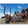 Image 5 : South Africa 7 Day Safari for 2 Hunters.  Trophy Fees Included.