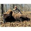 Image 1 : Oklahoma Trophy Bull Bison for 1 Hunter and up to 3 Observers for 4 days/3 nights
