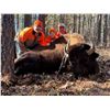 Image 3 : Oklahoma Trophy Bull Bison for 1 Hunter and up to 3 Observers for 4 days/3 nights