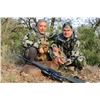 Image 3 : Spain 4 Day Hunting Trip for 1 Hunter and 1 Observer.   Trophy Fee credit $1000