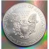 Image 2 : 2013 USA  Liberty Walking 1 OZ Silver