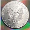 Image 2 : 2014 USA  Liberty Walking 1 OZ Silver
