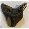 Image 2 : Ancient Fossilized Megalodon Shark Tooth  3.75”