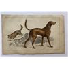 Image 1 : Antique 19th century Fullerton London Hunting Dogs Chromolithograph