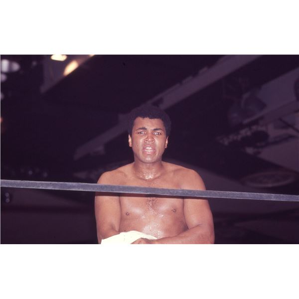 Original Muhammad Ali Howard Bingham Photo Negative
