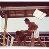Image 1 : Original Muhammad Ali Howard Bingham Photo Negative