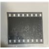 Image 2 : Original Cassius Clay Muhammad Ali Howard Bingham Photo Negative