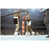 Image 1 : Original Muhammad Ali Howard Bingham Photo Negative