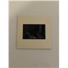 Image 2 : Original Muhammad Ali Howard Bingham Photo Negative