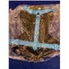 Image 2 : Sesame Street Pet Harness (xs/s)