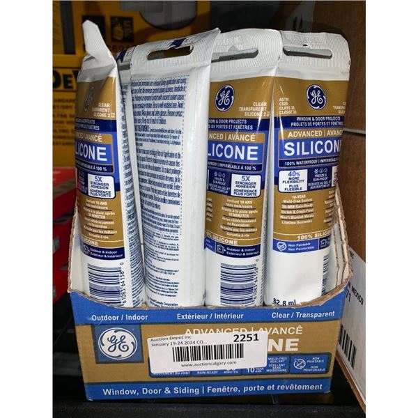 Window & Door Projects Indoor/Outdoor Advanced Silicone 12 x 82.8ml