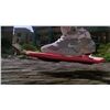 Image 5 : Back to The Future: Part 2 (1989) - Hero Marty McFly (Michael J. Fox) Hoverboard