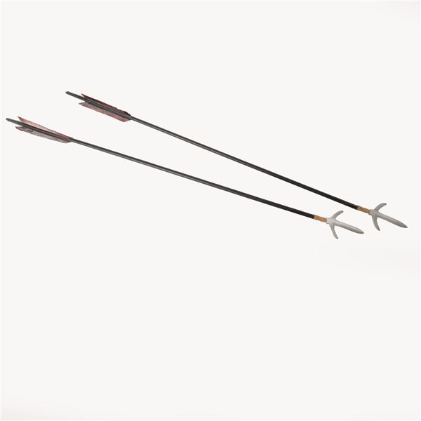 Bram Stoker's Dracula (1992) - Original Arrow Set