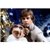 Image 6 : The Muppet Show (1974) -  Luke Skywalker (Mark Hamill) Bespin Style Costume
