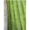 Image 2 : 6X20 ARTIFICIAL TURF