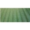 Image 2 : 6X20 ARTIFICIAL TURF