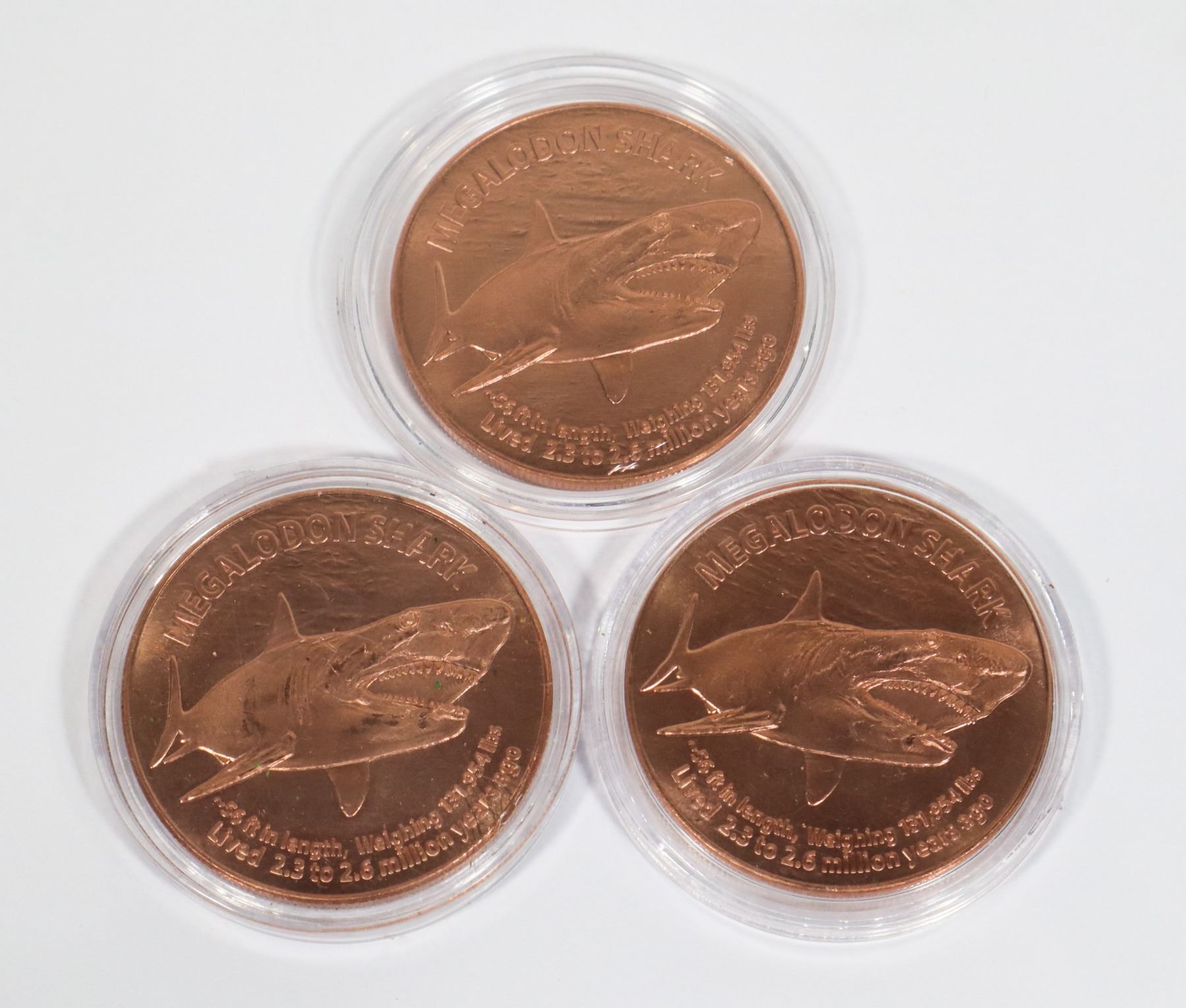 THREE MEGALODON SHARK COPPER ROUNDS IN CAPSULES