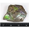 Image 2 : LARGE PIECE OF AMMOLITE 3" X 2-1/4", HAND POLISHED