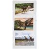 Image 2 : THREE LARGE DINOSAUR POSTERS 2' X 3', THREE 4" X 6"