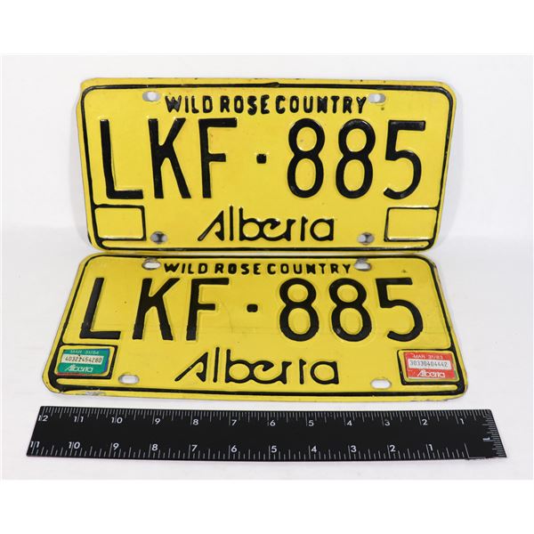 PAIR OF YELLOW WILD ROSE COUNTRY ALBERTA LICENSE