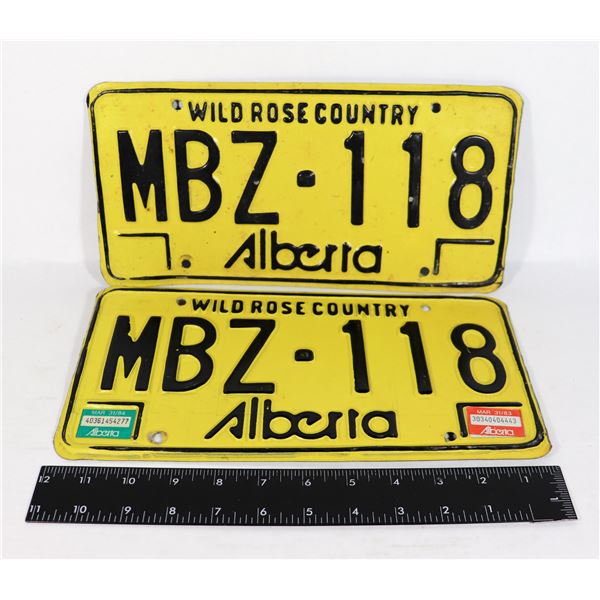 PAIR OF YELLOW WILD ROSE COUNTRY ALBERTA LICENSE