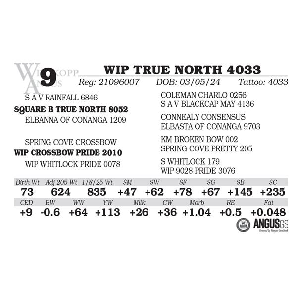 WIP TRUE NORTH 4033