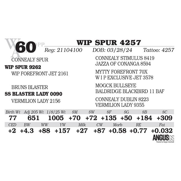WIP SPUR 4257