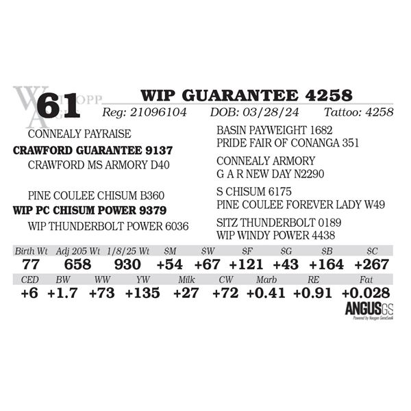 WIP GUARANTEE 4258