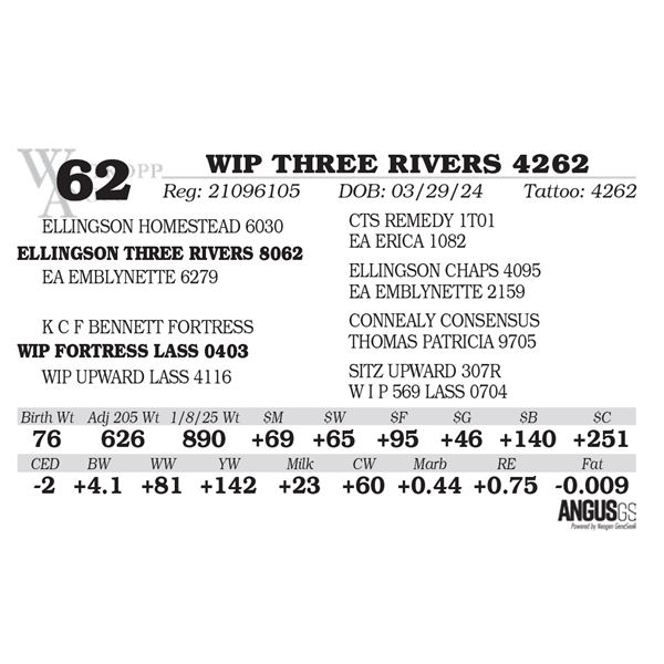 WIP THREE RIVERS 4262