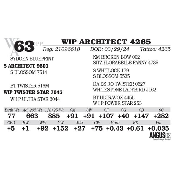 WIP ARCHITECT 4265
