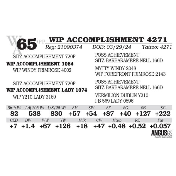 WIP ACCOMPLISHMENT 4271